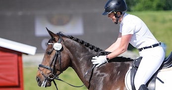 Ni deltagere - og alle følte seg som vinnere